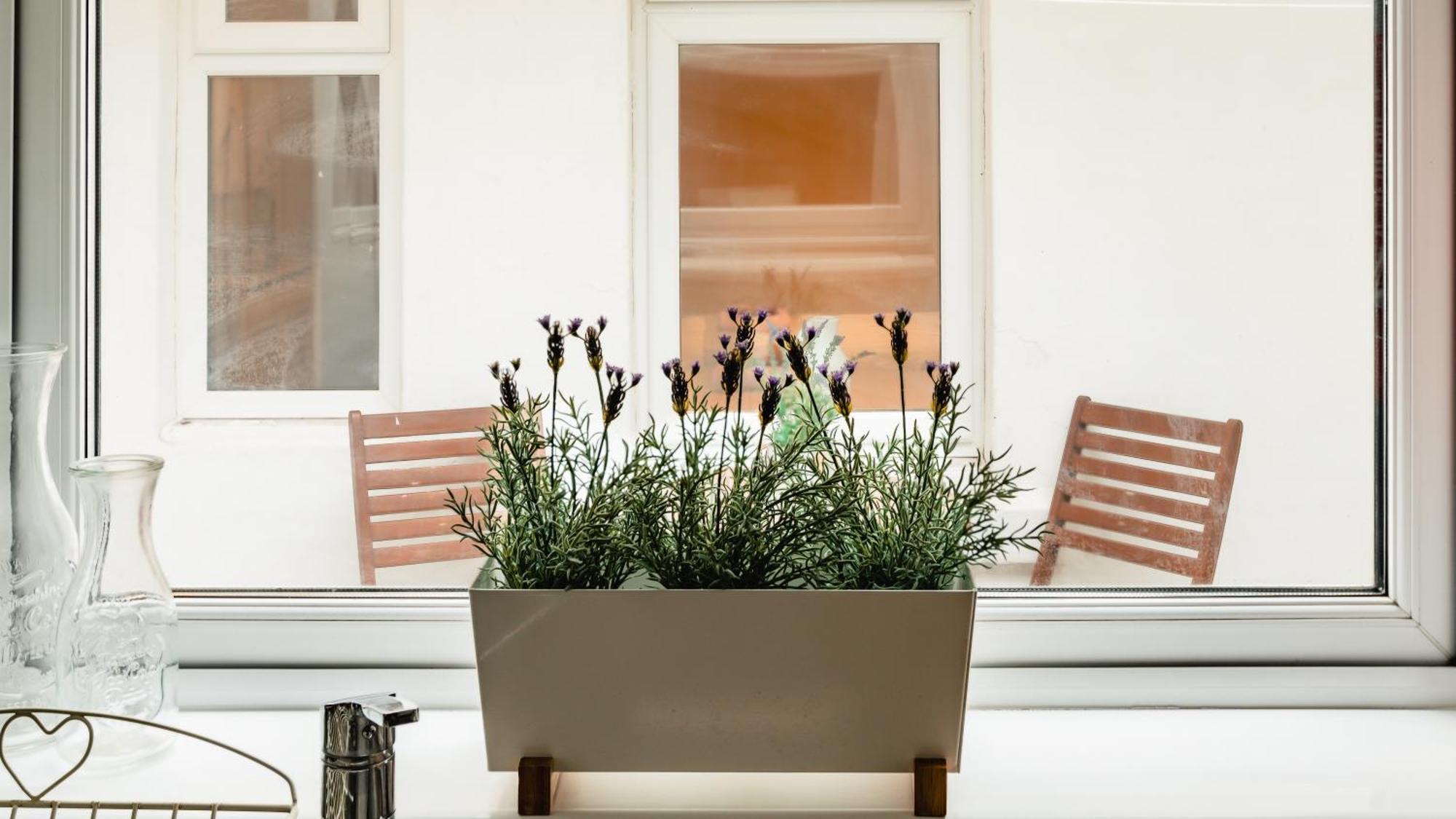 Sea Sound Apartman Cellardyke Kültér fotó